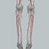Cardiac CTA Tools9